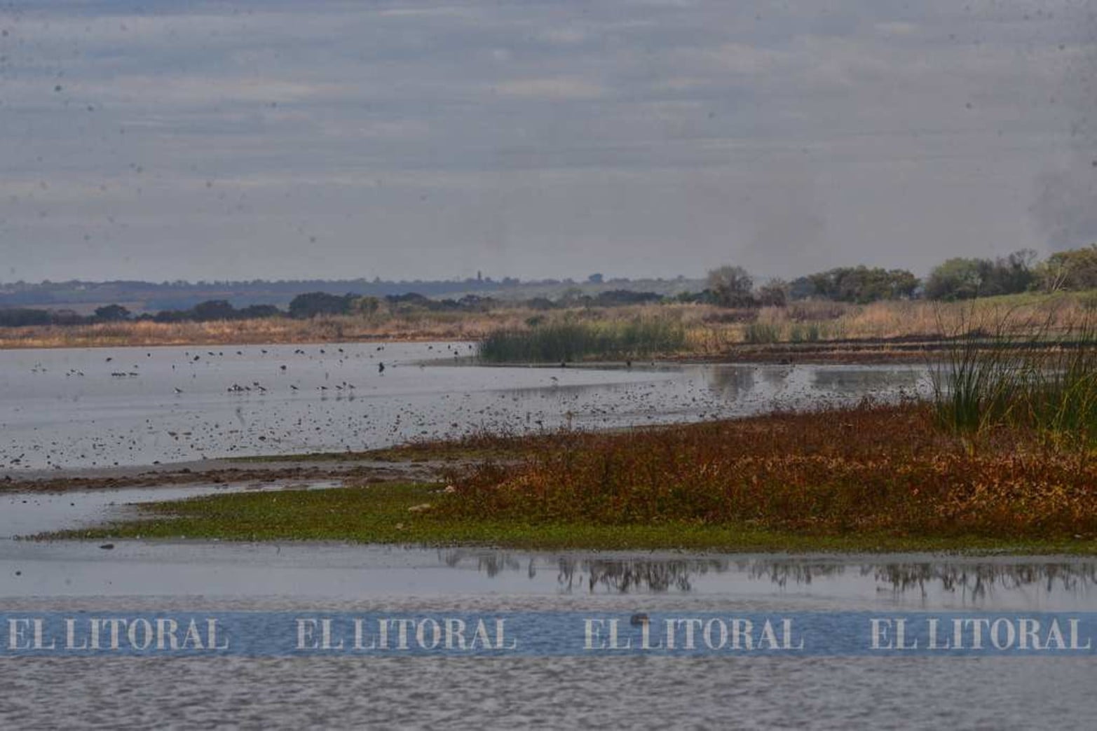 Cuidadores de la Casa Común, de la Fundación Eco Urbano, son quienes abren camino a machete por la isla e invitan al Estado a preservar el lugar.