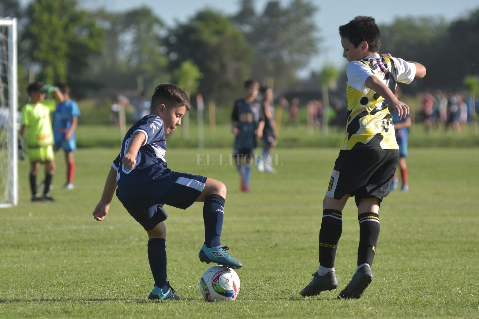 El torneo Talento 2021 es organizado por Cosmos FC y se lleva a cabo entre este miércoles y el próximo domingo 5 de diciembre. Participan más de 160 equipos.