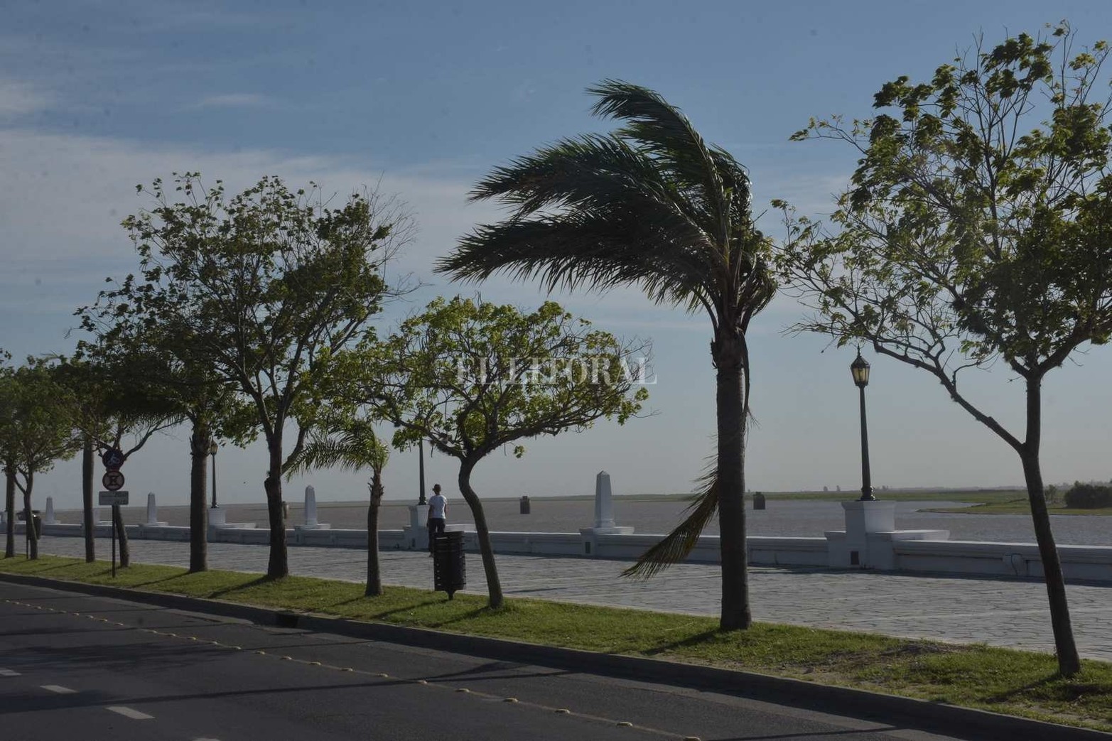 Con una mínima de 19° y una máxima podría alcanzar los 23°, hay probabilidad de tormentas aisladas durante la mañana. Las ráfagas pueden alcanzar los 59 km/h