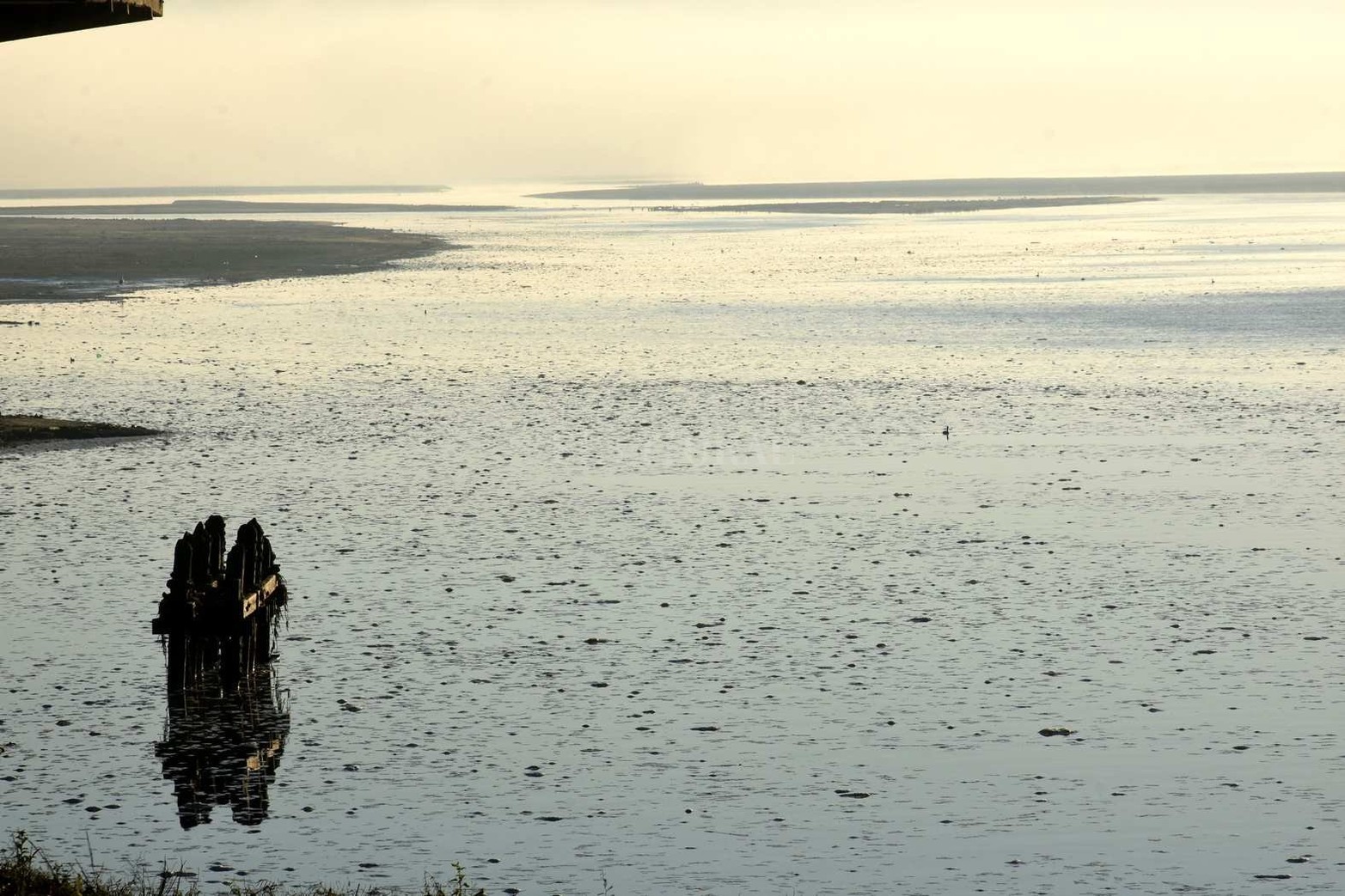 Los bruscos cambios de temperatura es uno de los factores por los cuales se suele formar esta bruma sobre el agua.