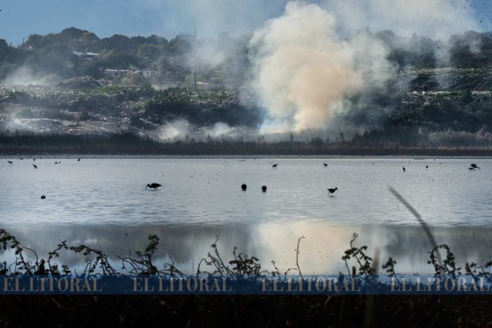 Contrastes. Un sector de la isla limita con el "Volcadero", que es donde la municipalidad de Paraná tira la basura y la tapa con tierra.