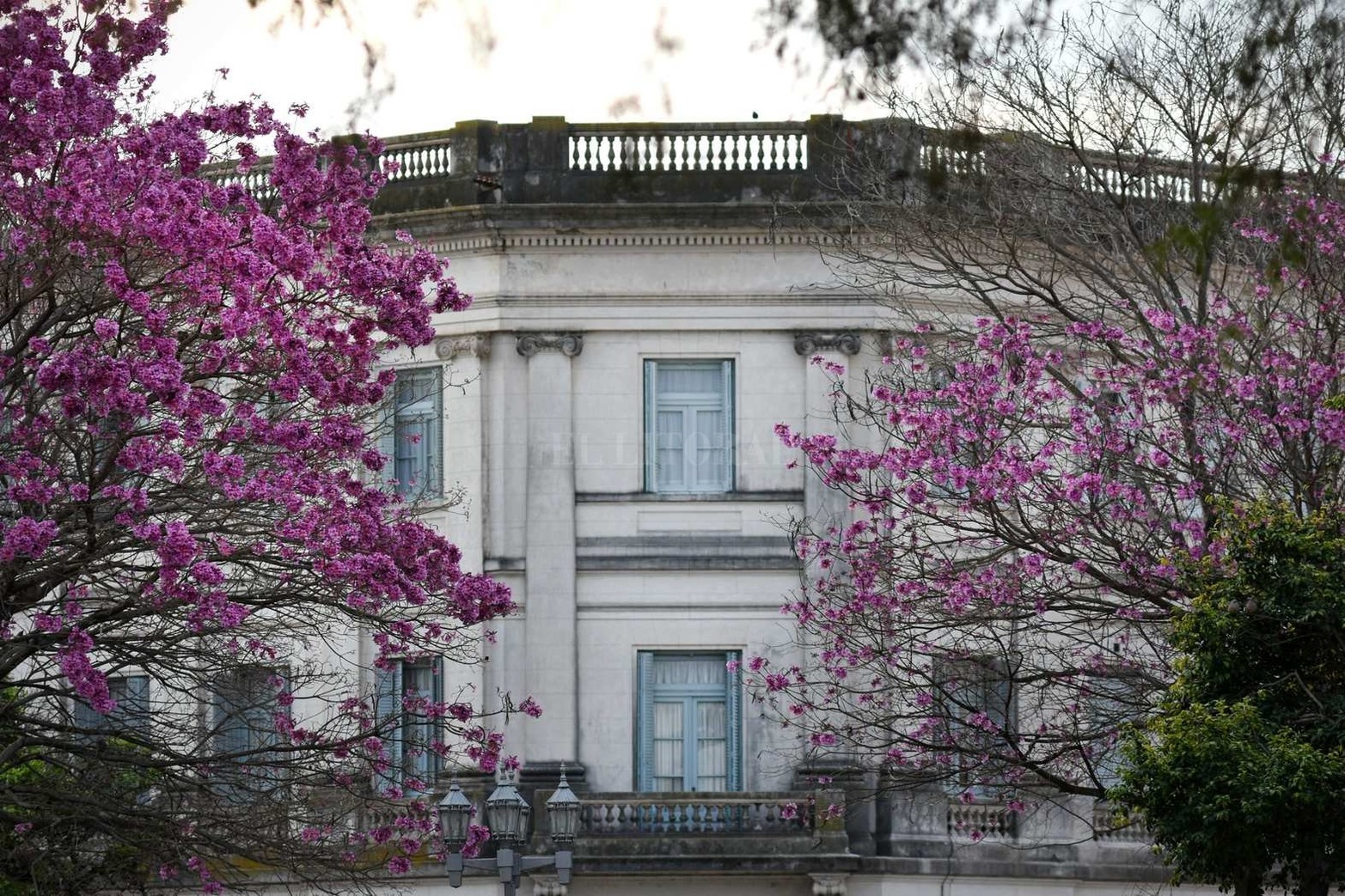 En barrio sur. Las ventanas del edificio del Arzobispado de Santa Fe.