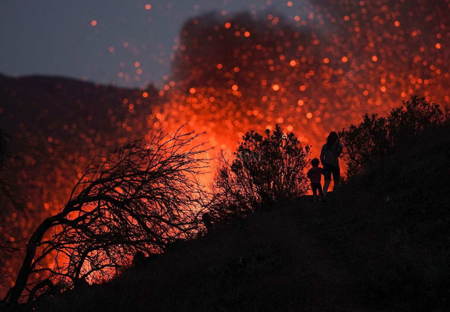 Erupción del volcán en La Palma, una de las islas de la comunidad de Canarias, España. En su camino ha inutilizado 28,3 kilómetros de carreteras, ha destruido 880 edificaciones y dañado otras 105.