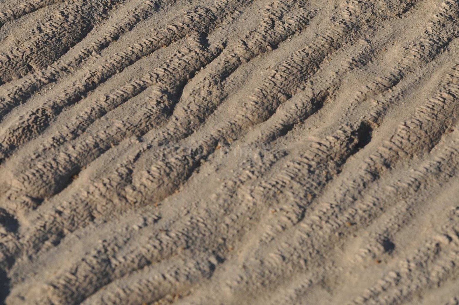 Frente a la ciudad de Paraná, entre las las islas Corupi y Puente, un banco de arena gigante llama la atención. Aquí imágenes de textura del lecho del río.