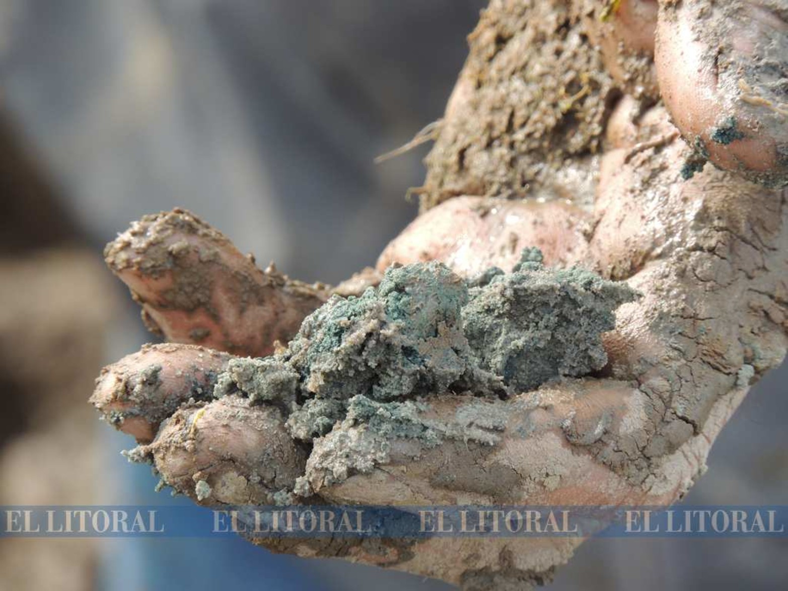 Perforan el lecho de la Setúbal en busca de restos paleontológicos. También quieren saber hace cuántos años se formó la laguna.