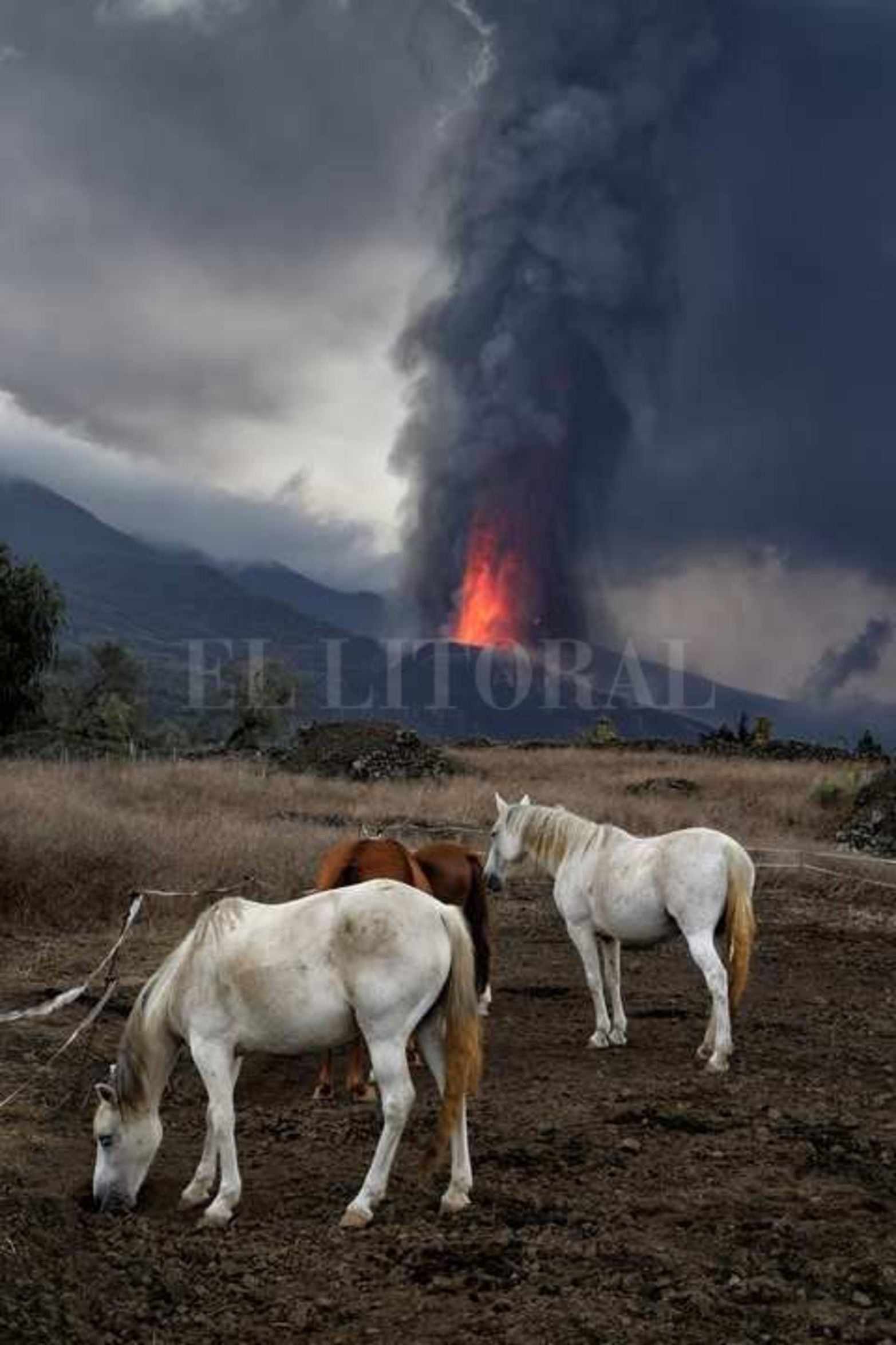 Erupción del volcán en La Palma, una de las islas de la comunidad de Canarias, España.
