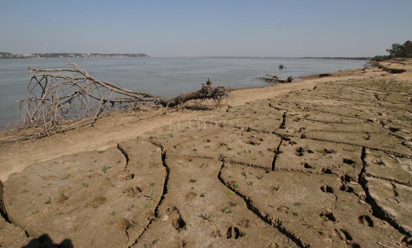 Las texturas de la costa. Hay sectores que contiene mas humedad que otros.