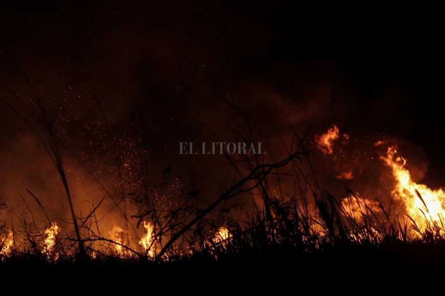 Penosas imágenes de los incendios en Corrientes