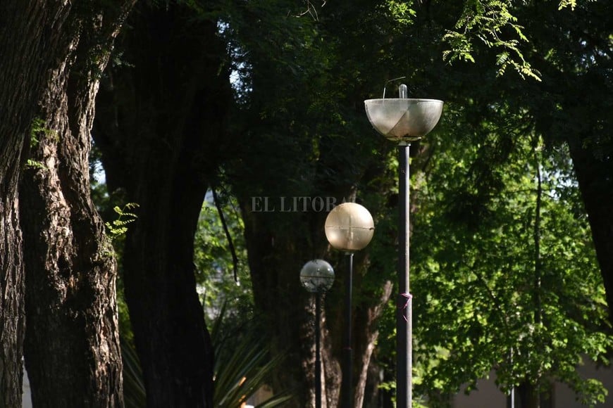 ELLITORAL_GALL_92333 |  Pablo Aguirre Jardín Botánico República del Líbano.