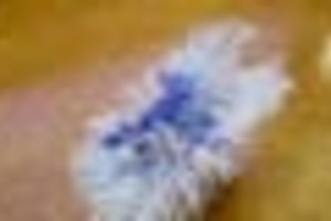 Archivo El cepillo de dientes descartado por la polémica joven fue subastado en 305 dólares.