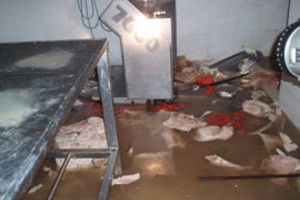 Gentileza Frigorífico Cordial. El jueves 29 de marzo las instalaciones fueron saqueadas. Hoy la empresa vacila respecto de su continuidad.