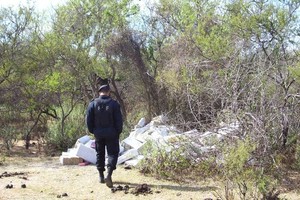 ELLITORAL_8844 |  Danilo Chiapello