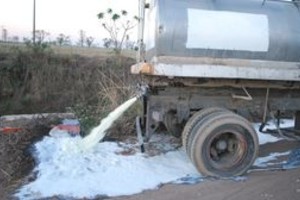 Gentileza Diego Camusso Unos 15 mil litros de leche pertenecientes al tambo de Armando SA fueron derramados al zanjón de calle Brasil.