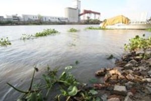 Pablo Aguirre La bajante del río, vista desde el dique 2 del Puerto de Santa Fe.