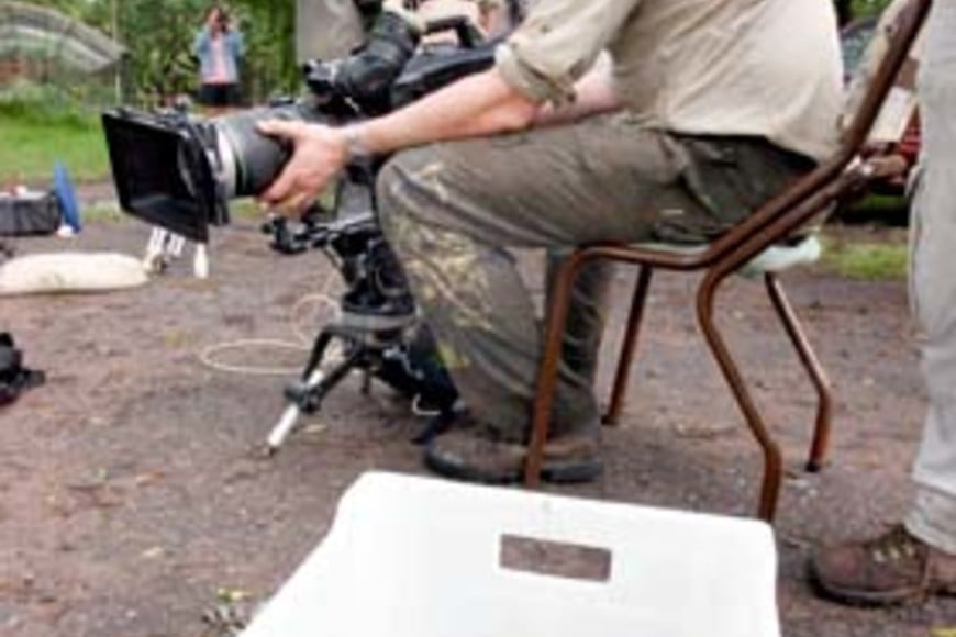 ELLITORAL_324 |  Luis Cetraro. La sofisticada cámara, al mando de Marc Macewen, registró alrededor de 80 horas del yacaré overo.