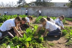 ELLITORAL_17376 | El Litoral