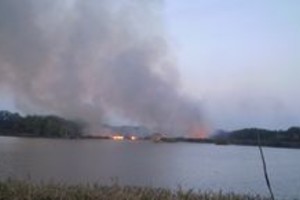 ELLITORAL_8532 |  Julieta Di Filippo Incendio en la reserva ecológica de la UNL