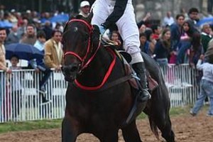 ELLITORAL_9960 |  Pablo Aguirre