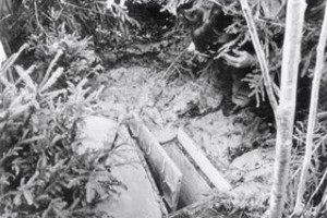 EFE MUN04 MÚNICH (ALEMANIA) 30.05.08 Fotografía de archivo con fecha del 5 de octubre de 1981 que muestra la caja de madera en la que fue encontrado, el 4 de octubre de 1981, el cadáver de Ursula Herrmann, una niña de once años, en un bosque cerca de Eching am Ammersee (Alemania). La investigación del caso del secuestro y asesinato de Ursula Herrmann podría estar llegando a su fin. Su asesino ha sido aparentemente arrestado, 27 años después de que ella agonizara en una caja. Un hombre de 58 años, previamente señalado como posible asesino en otras investigaciones, fue arrestado en Kappeln el 29 de mayo de 2008, segñun informaciones facilitadas por la agencia dpa. El hombre fue trasladado a la Fiscalía en Augsburg, donde fue expedida una orden de arresto. Confirmó haber vivido en Utting am Ammersee antes de irse de Baviera. EFE/Str