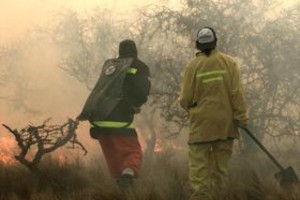 ELLITORAL_8390 |  Télam Foto archivo El Litoral