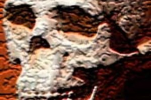 Archivo El hallazgo echaría por tierra algunas teorías.