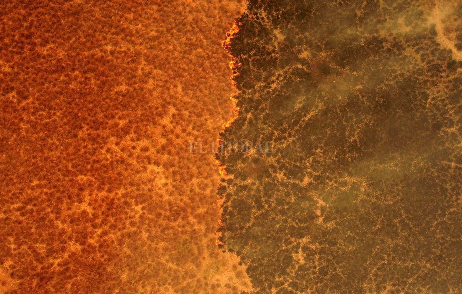 Los incendios en la provincia de Corrientes consumieron mas del 10 por ciento del territorio. Es una catástrofe ambiental y productiva.