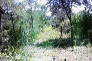 Un cura párroco denunció la presencia de grupos parapoliciales