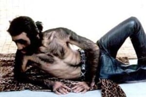 Lanacion.com Yu Zhenhuan, de 30 años y de origen chino, tiene el 96 por ciento de su cuerpo cubierto de vello; es cantante de rock y está de novio hace tres años.