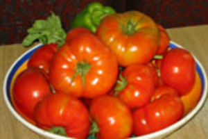 ELLITORAL_3522 |  Archivo