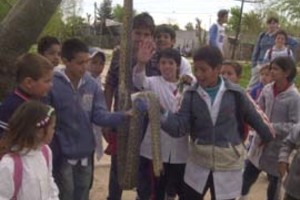 Guillermo Di Salvatore Se congregó todo el barrio cuando los chicos colgaron la víbora de un árbol para mostrarla.