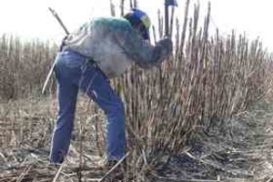Juan Manuel Fernández