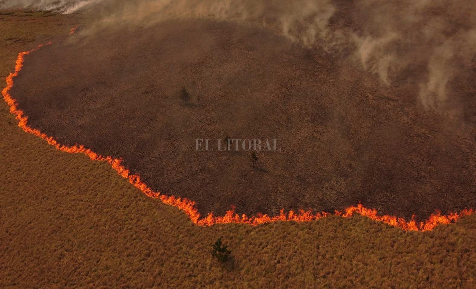 Los incendios en la provincia de Corrientes consumieron mas del 10 por ciento del territorio. Es una catástrofe ambiental y productiva.