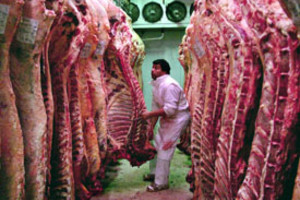 Archivo El Litoral BAS01 - BUENOS AIRES (ARGENTINA) 29/05/2006. Un operario acomoda partes de una res vacuna en una cámara frigorífica, hoy, lunes 29 de mayo, en Buenos Aires. Argentina, tercer exportador mundial de carne vacuna, levantará parcialmente la veda al comercio exterior de carnes a partir del jueves 1 de junio próximo, medida por la cual se podrá vender al exterior el 40 por ciento del volumen de carnes colocado en igual lapso del año pasado. EFE/Cézaro De Luca
