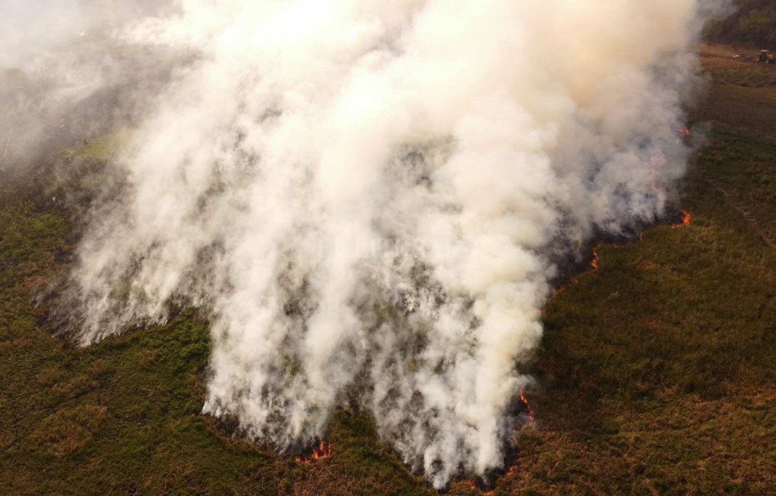Los incendios en la provincia de Corrientes consumieron mas del 10 por ciento del territorio. Es una catástrofe ambiental y productiva.
