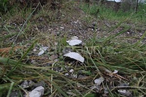 Luis Cetraro Sigue la polémica. Al fondo se observa la casilla del presunto curandero , al borde la Ruta 2, en Monte Vera, donde aparecieron los escombros. Mirá la Fotogalería.