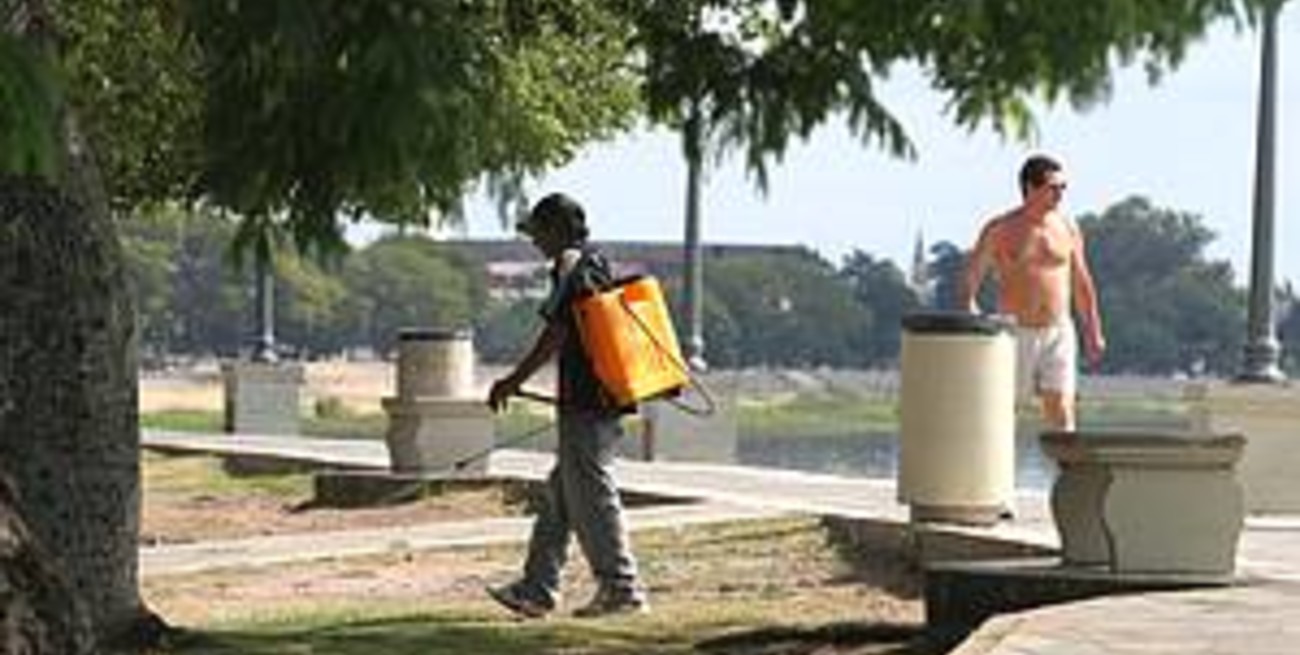 Continúan las tareas de fumigación en toda la ciudad