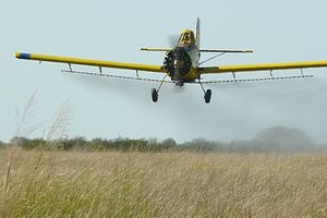Archivo El Litoral Los agrotóxicos quedan en la tierra, en las pasturas y en el agua. Son ingeridos por los animales y finalmente éstos pueden ser consumidos por el hombre.