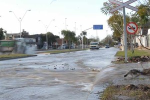 ELLITORAL_29647 | Flavio Raina Av. Alem a la altura de calle Dorrego.