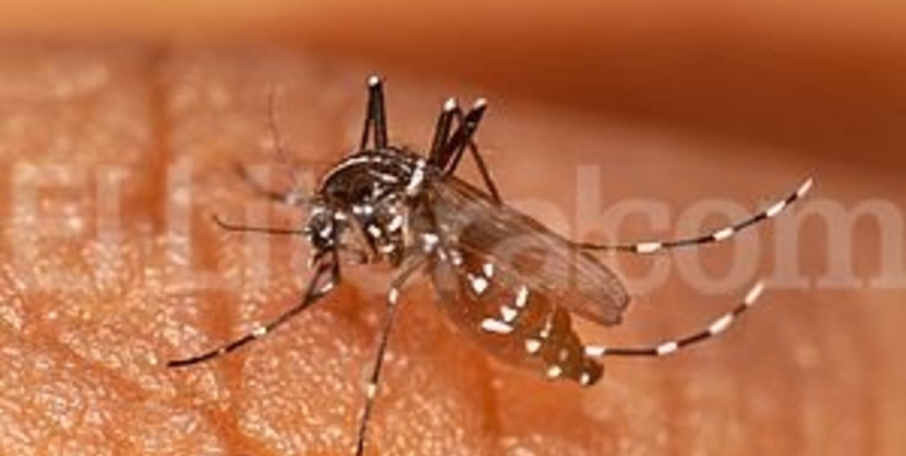 Explosivo brote de  dengue en Romang