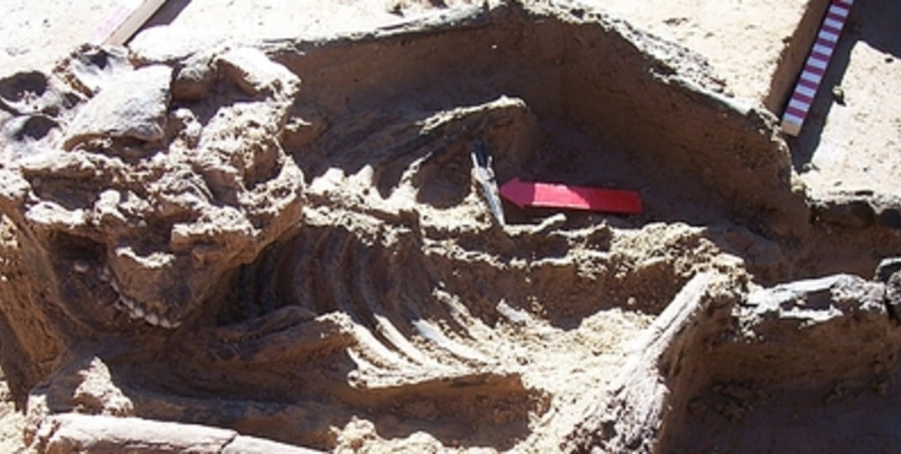 La milenaria tumba del guerrero El Litoral