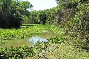 ELLITORAL_51177 |  Archivo El Litoral