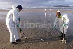 Archivo La investigación es novedosa porque hasta la fecha no se había descrito este proceso en bacterias que respiren nitrato utilizando naftaleno.