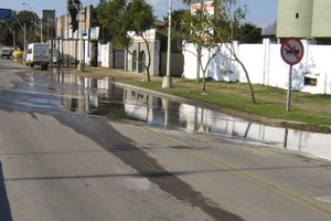 ELLITORAL_29684 | Tito Bertero