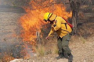 DyN Los bomberos mantienen una dura y despareja lucha contra las llamas.