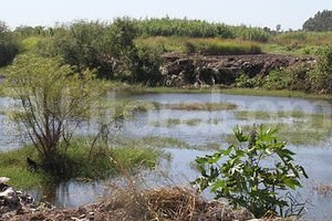Amancio Alem. Cava. En este espacio ubicado en Alsina al 10000, los vecinos verificaron el arrojo de desperdicios. Esta semana empezaron tareas de limpieza.