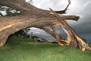 ELLITORAL_52800 | Flavio Raina