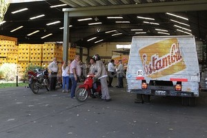 Guillermo Di Salvatore