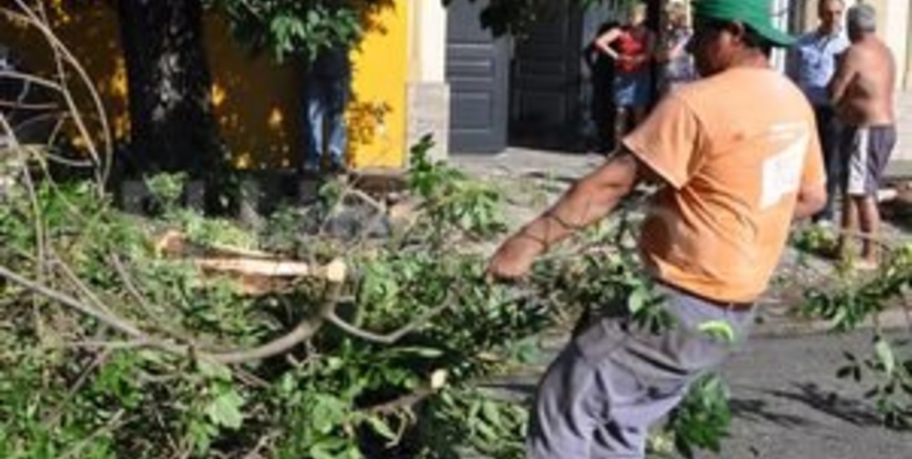 20 cuadrillas municipales trabajan por los daños en la ciudad