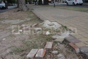 ELLITORAL_82824 |  Luis Cetraro Losetas sueltas. Hay muchas desprendidas; algunas en la zona verde, pero la mayoría sobre la propia carpeta.