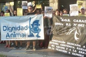 Gentileza Dignidad Animal La entidad reclamó por el retiro de 8 perros comunitarios y cuestionó la política de castraciones del municipio.